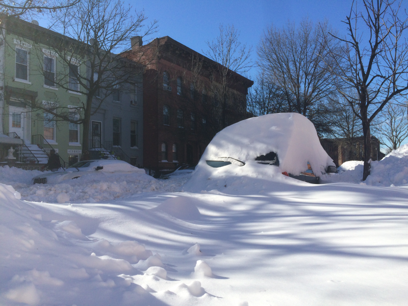 Illustration for article titled A Blizzard Grows in Brooklyn